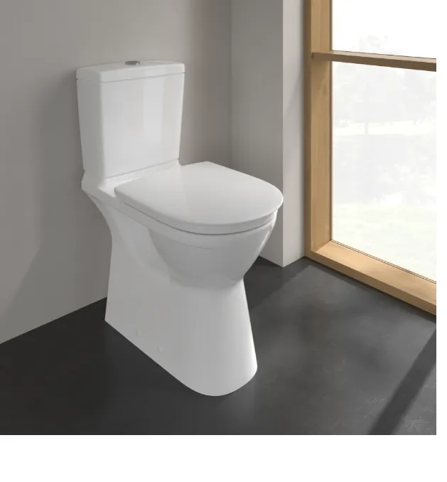 Villeroy & Boch ViCare voorheen O.novo Vita Combi-Pack, staand, met DirectFlush, White Alpine